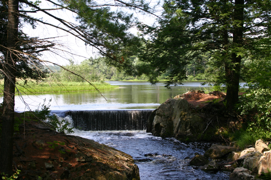 C'est beau l'automne
