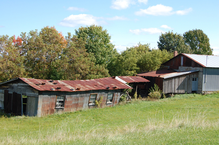 Passionnée de photos