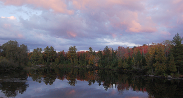 Regroupement des photographes du VSF