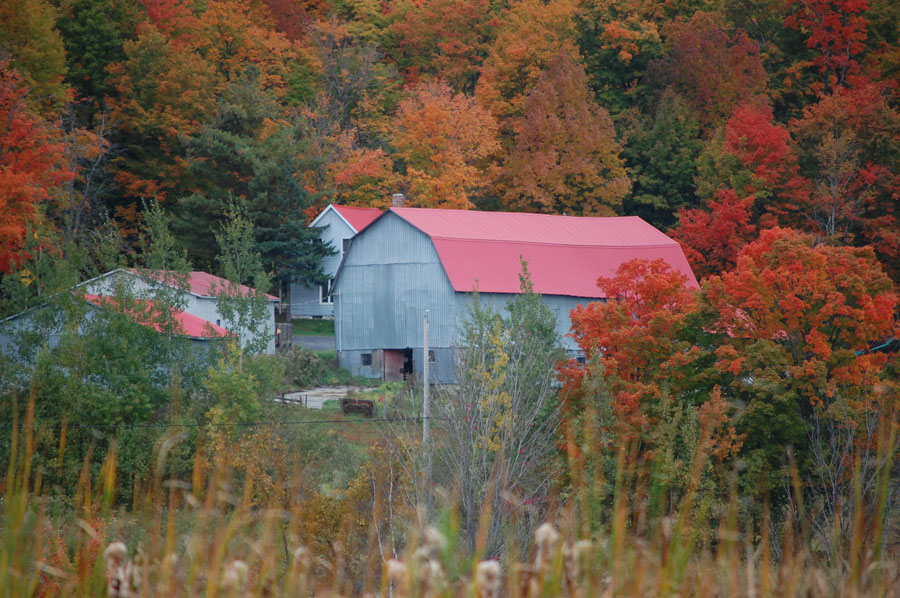 Regroupement des photographes du VSF