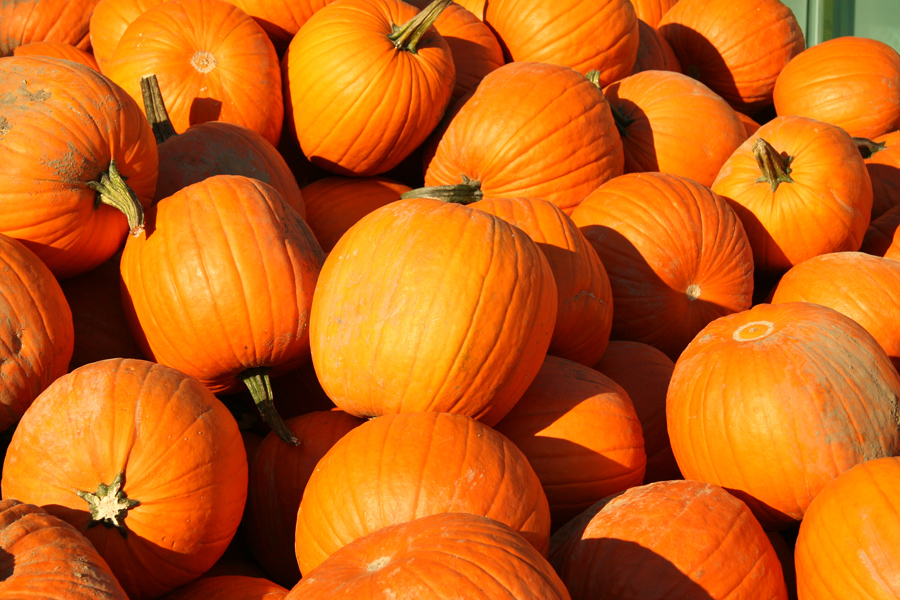 Accueillons bien les halloweens