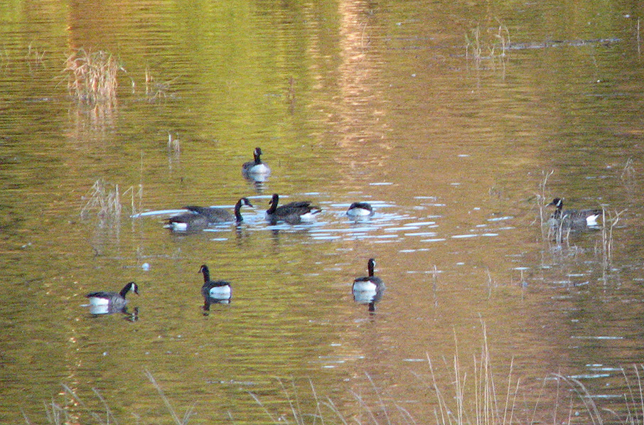 Etudiante en photographie