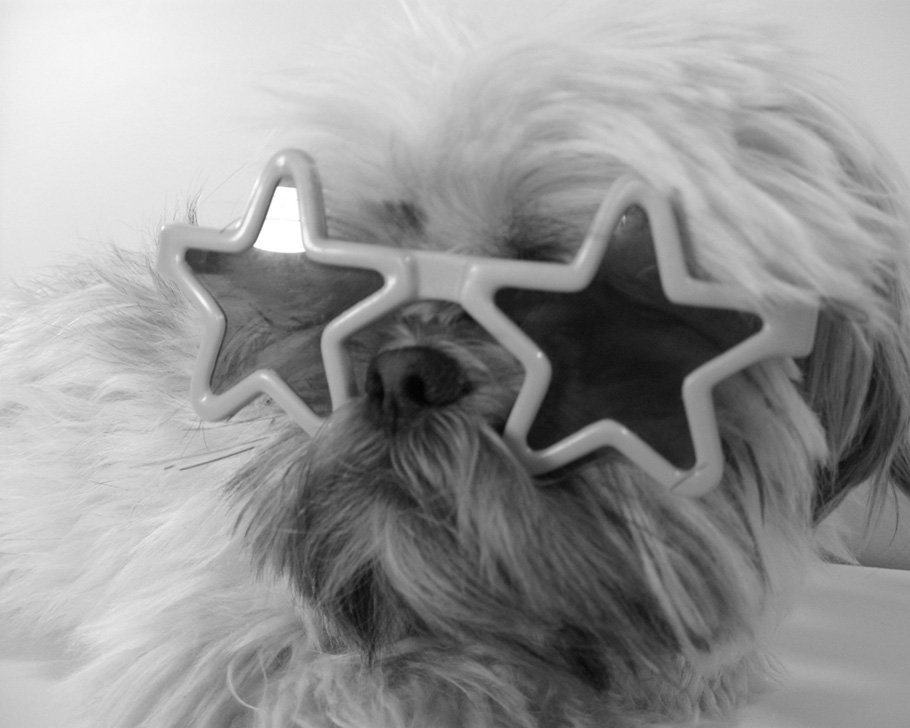 2 pour 1 du Tournesol