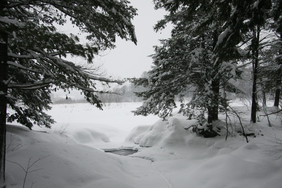 Ski de fond, les conditions sont superbes