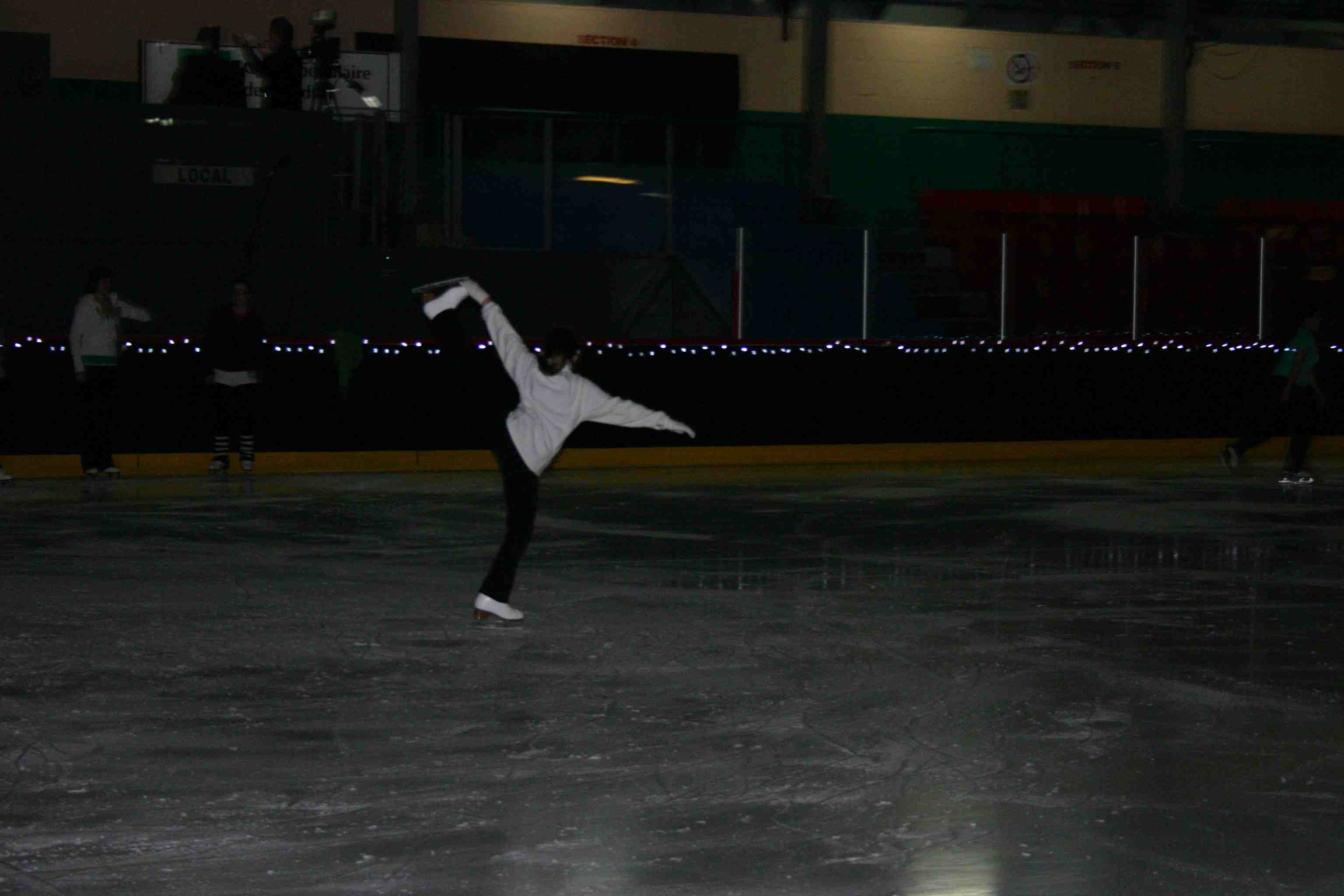 Spectacle annuel des Patins d'argent