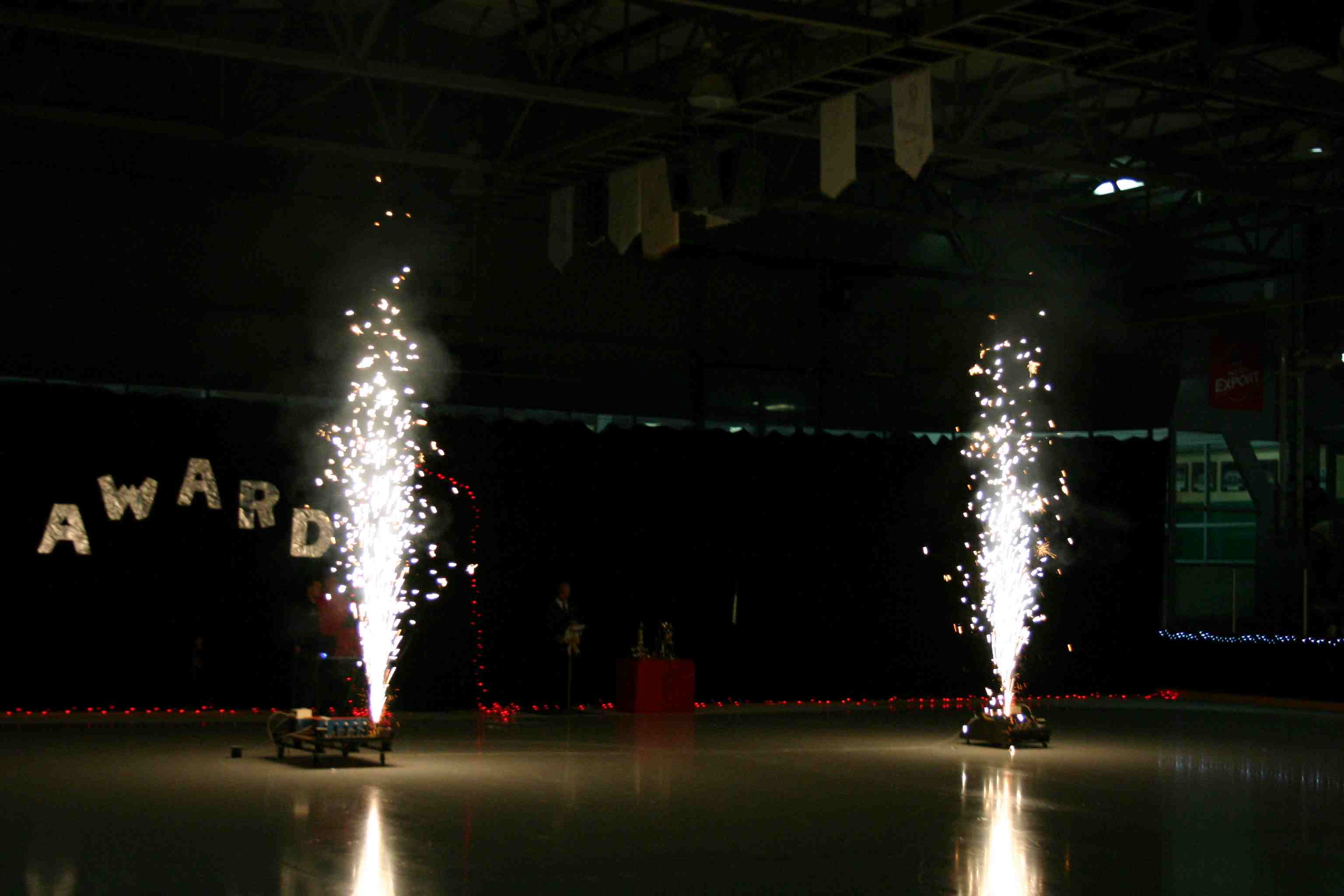 Spectacle annuel des Patins d'argent