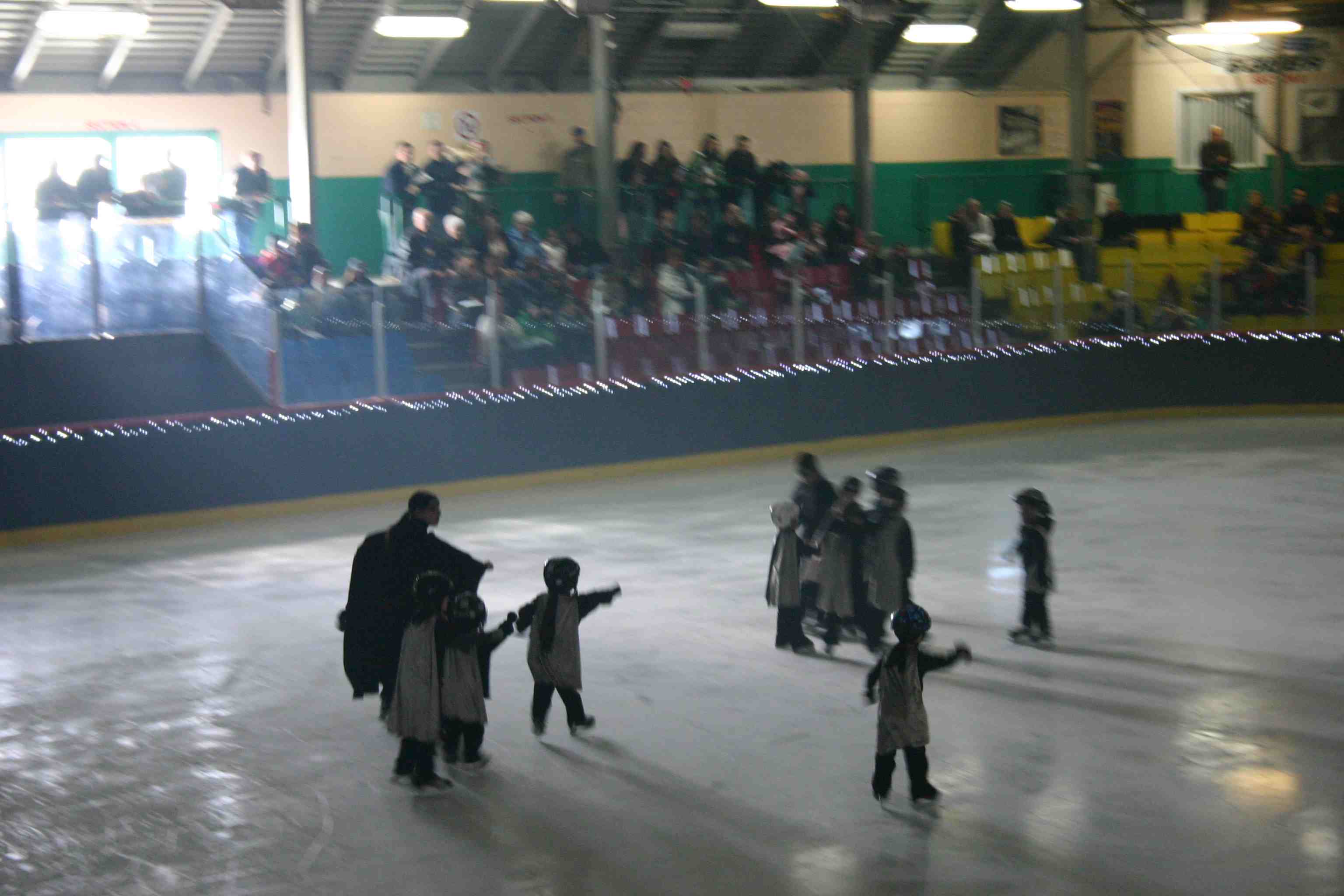 Spectacle annuel des Patins d'argent