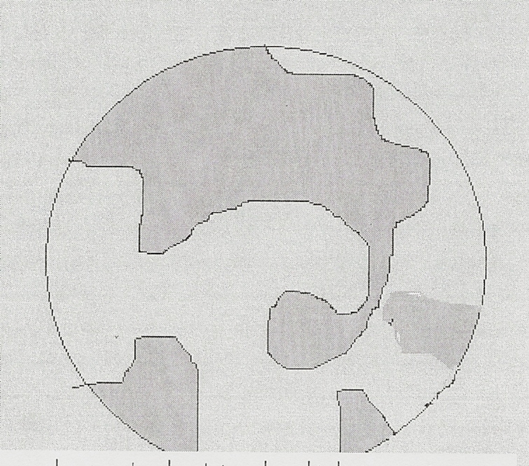 Jour de la terre - Classe de Sophie Caron, 2è année, École St-Philippe