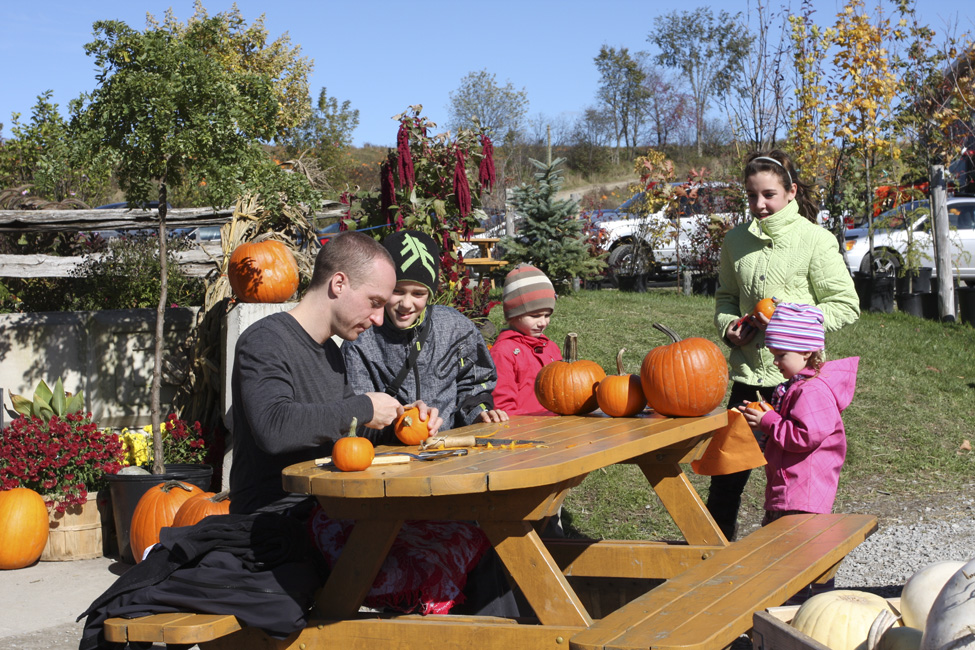 L'automne dans le Val-Saint-François