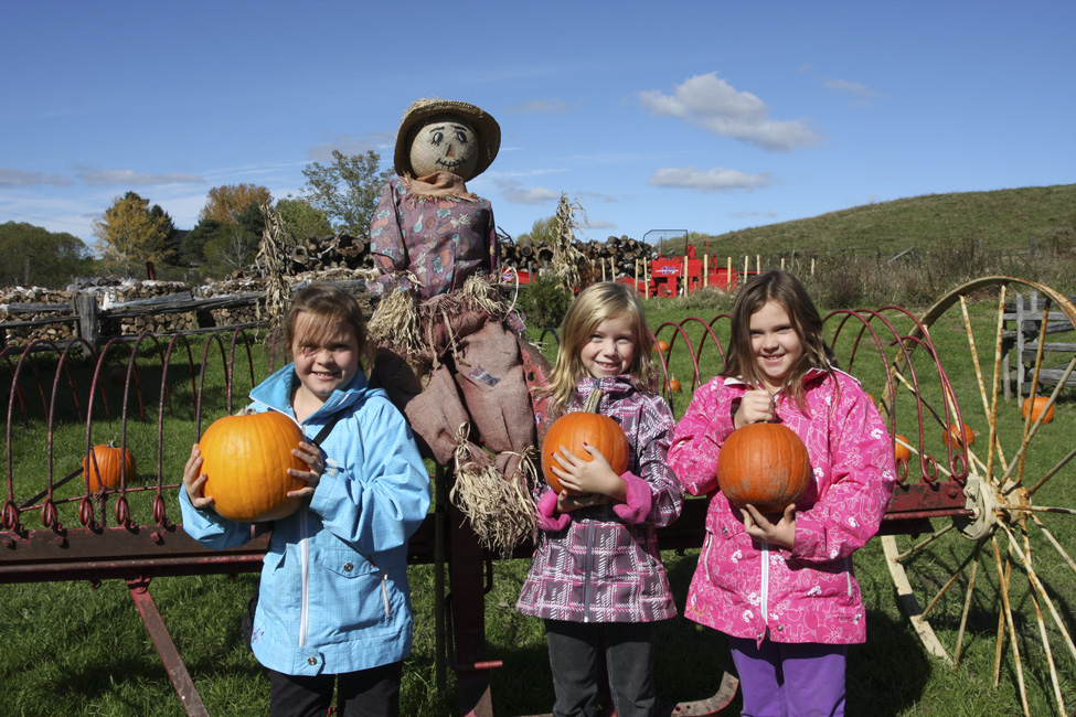L'automne dans le Val-Saint-François