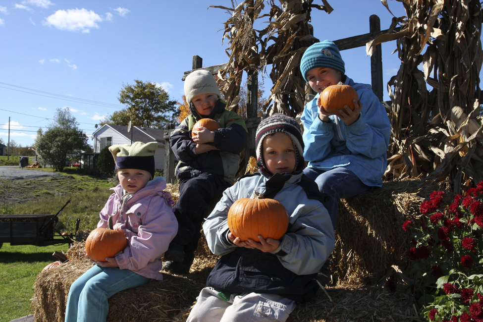 L'automne dans le Val-Saint-François