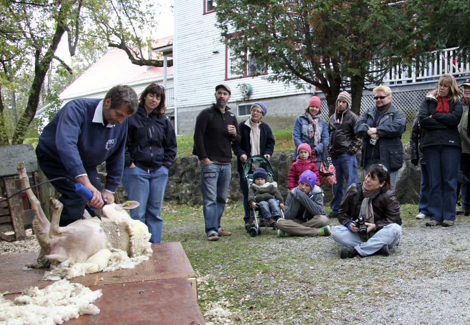 L'automne dans le Val-Saint-François