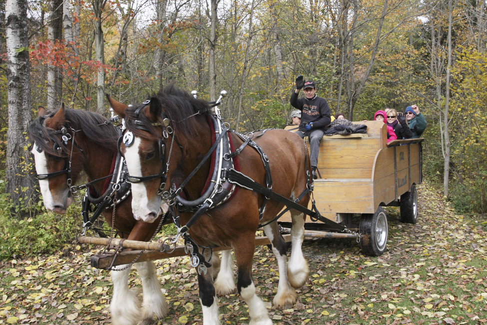 L'automne dans le Val-Saint-François