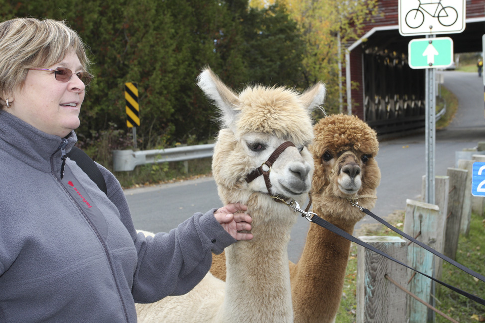 L'automne dans le Val-Saint-François