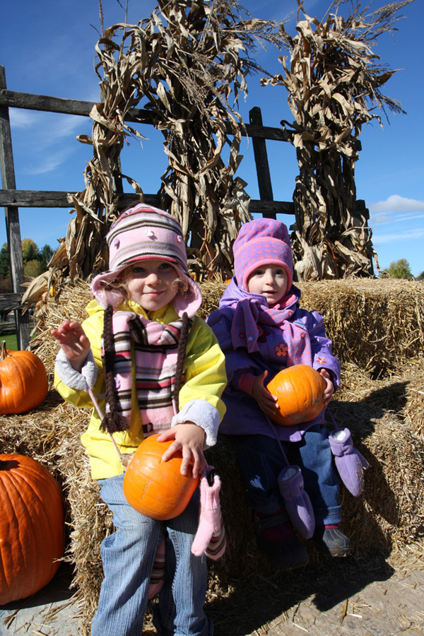 L'automne dans le Val-Saint-François