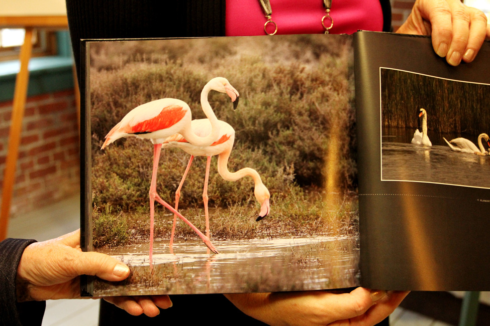 Les oiseaux, une passion!