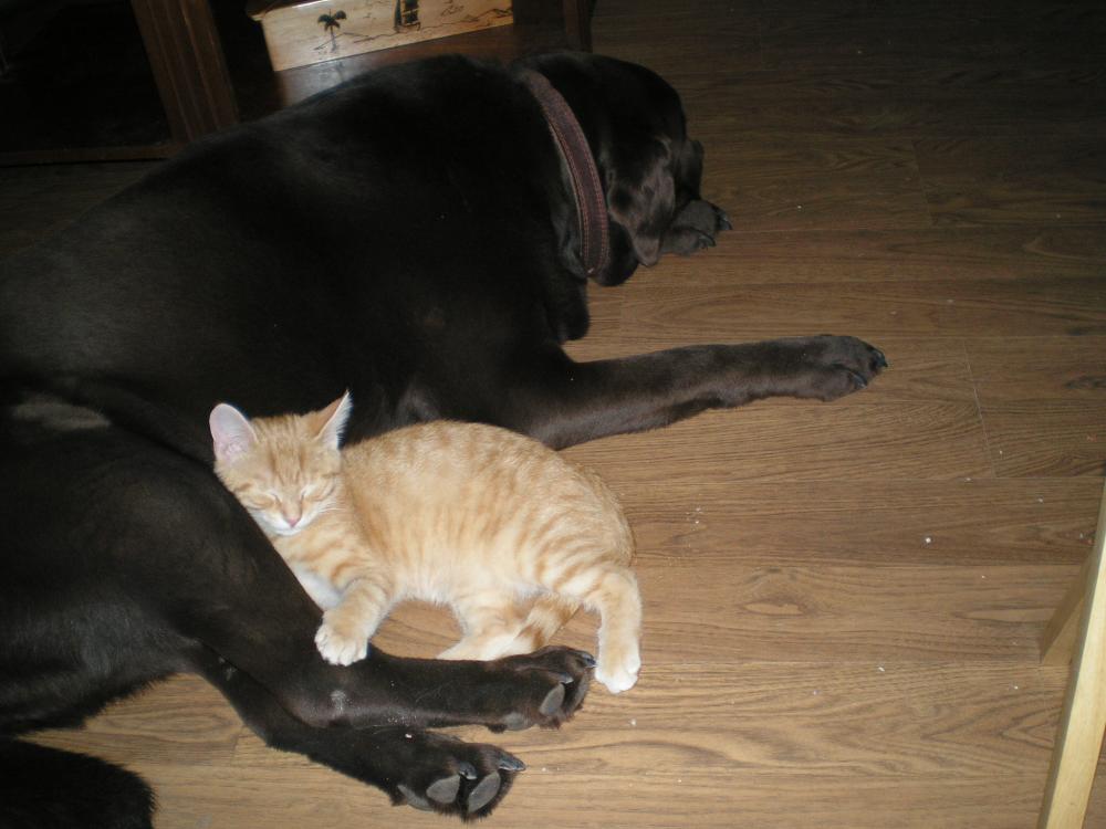 Un chum, c'est un chum!