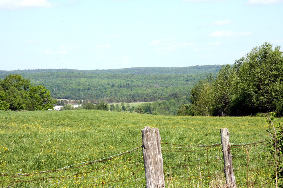 Hommage au peintre Frederick Simpson Coburn