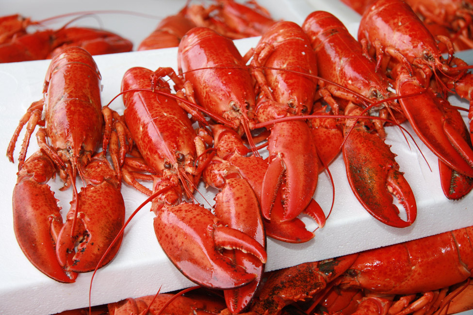 Souper annuel aux homards de la Fondation du CSSS du VSF à Windsor