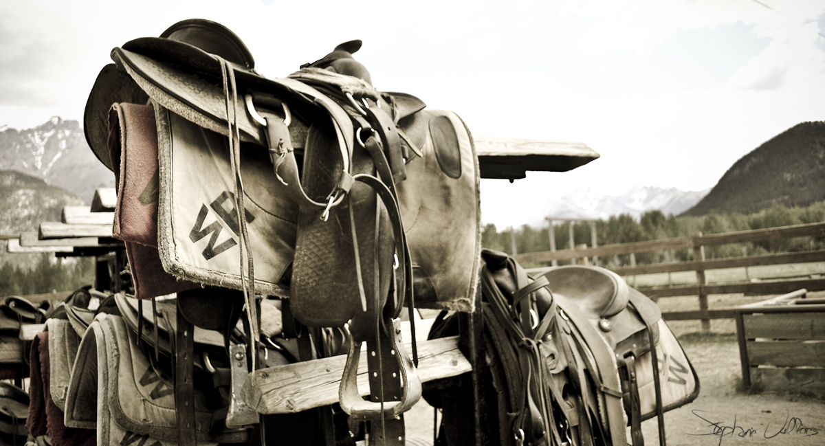 Riding in the Candadien Rockies