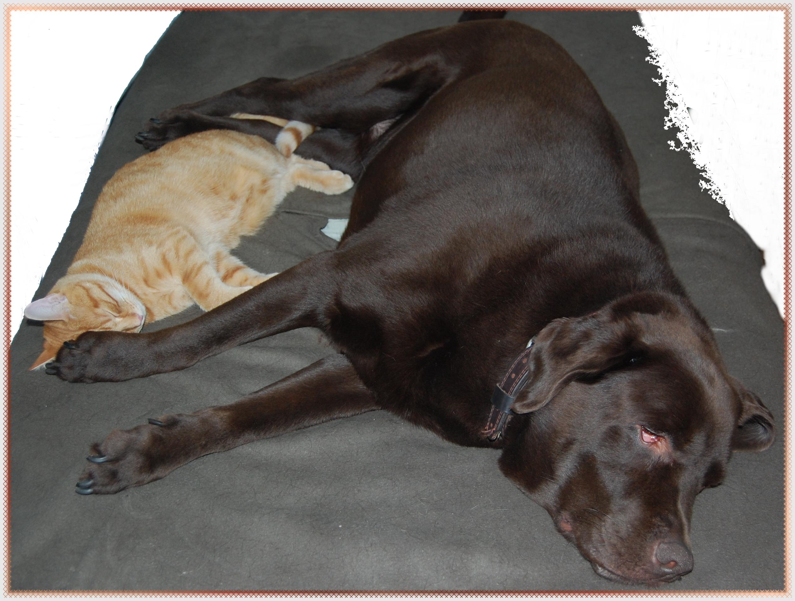 Tiroux et Mayday Blaquière