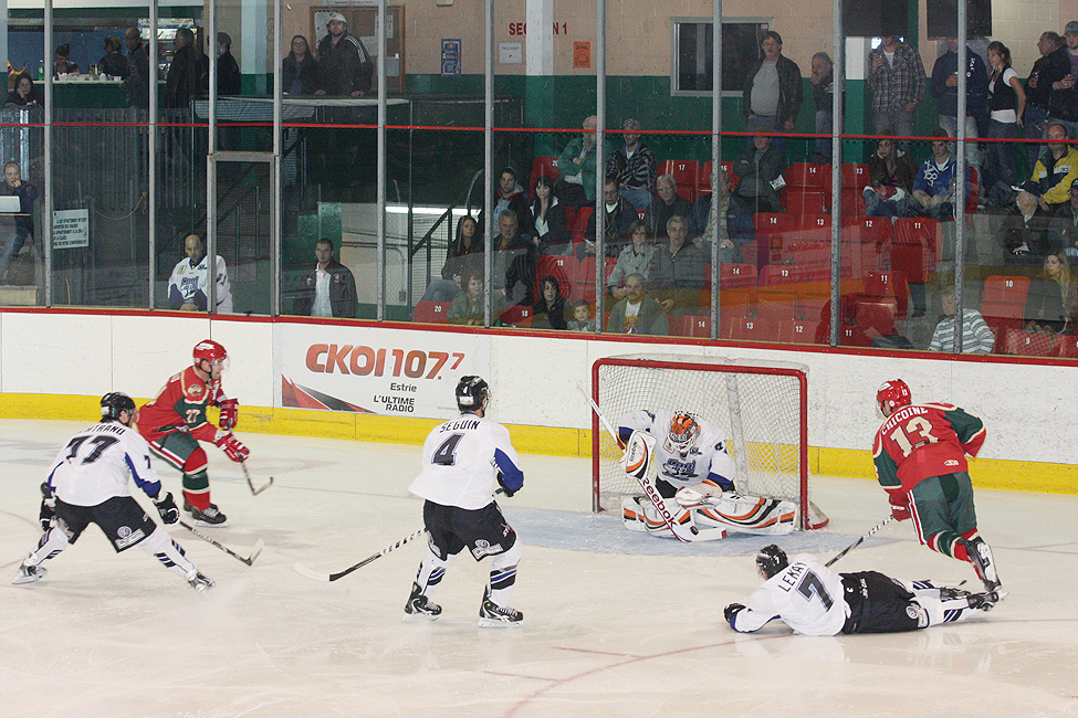 Wild de Windsor de la LNAH