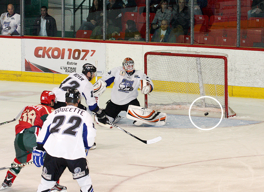 Wild de Windsor de la LNAH