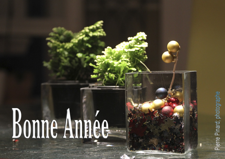 Bonne Année 2012