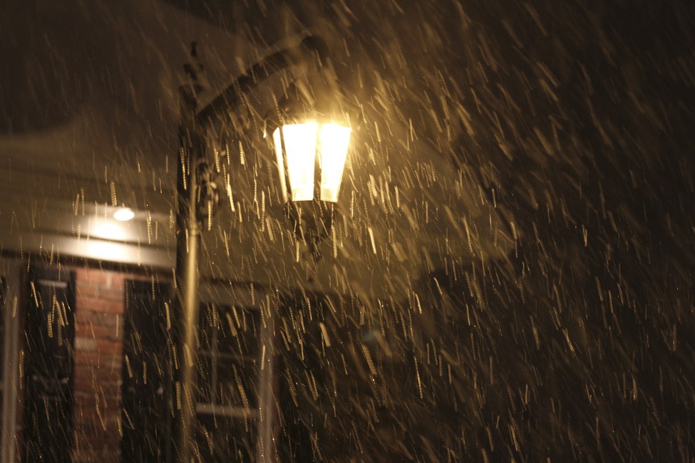 Photos marquantes 2011