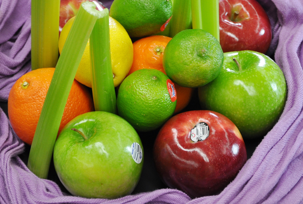 EXPO PHOTOS «COULEURS»