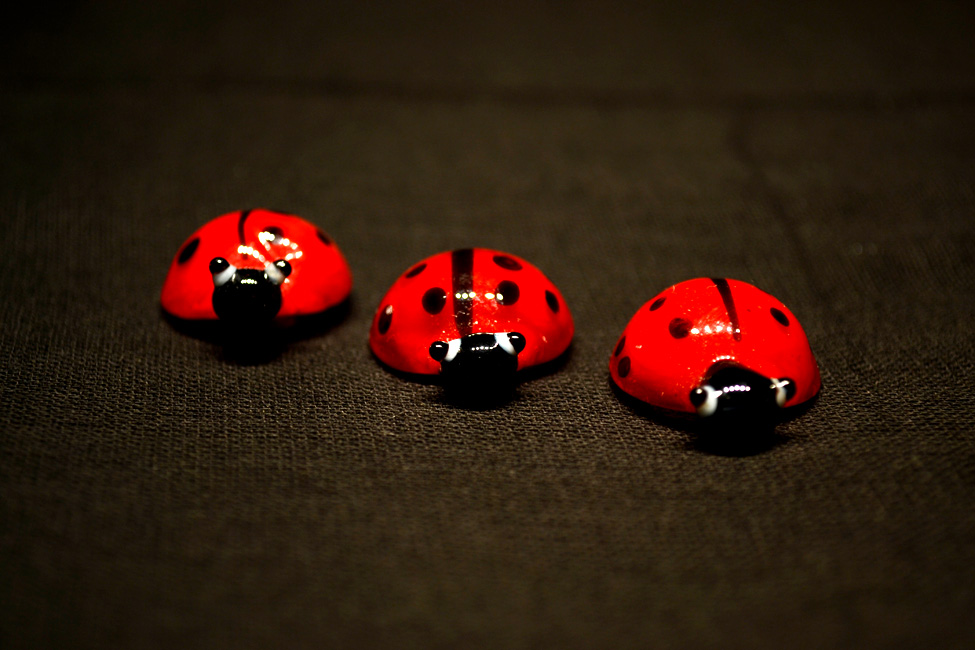 EXPO PHOTOS «COULEURS»