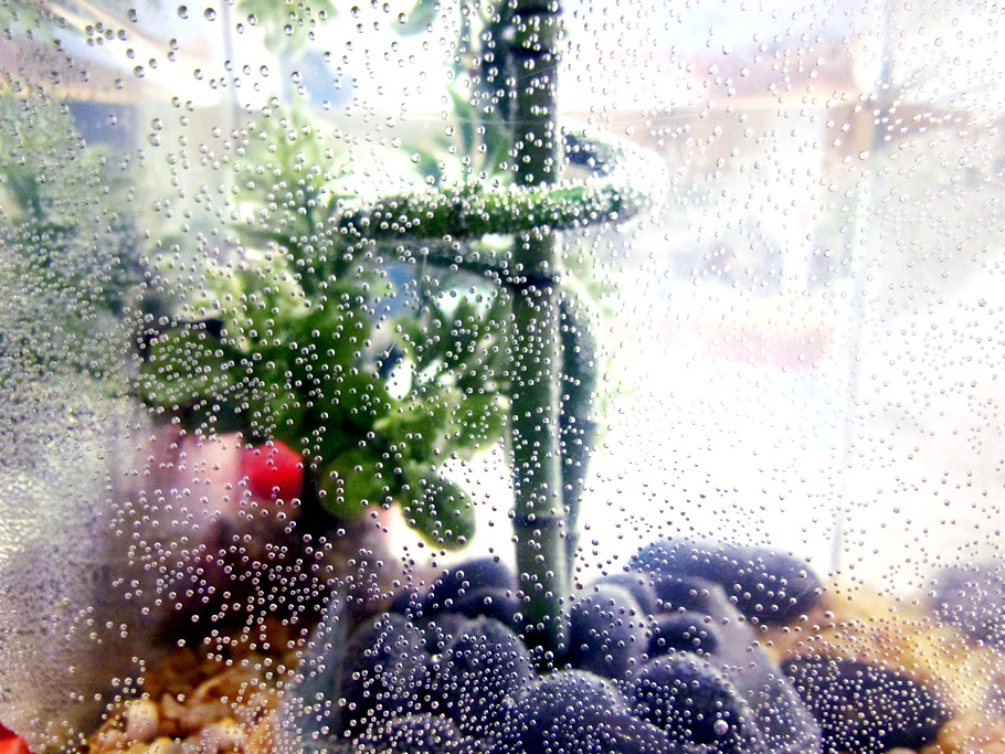 EXPO PHOTOS «COULEURS»