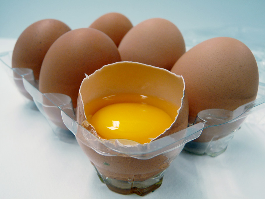 EXPO PHOTOS «COULEURS»