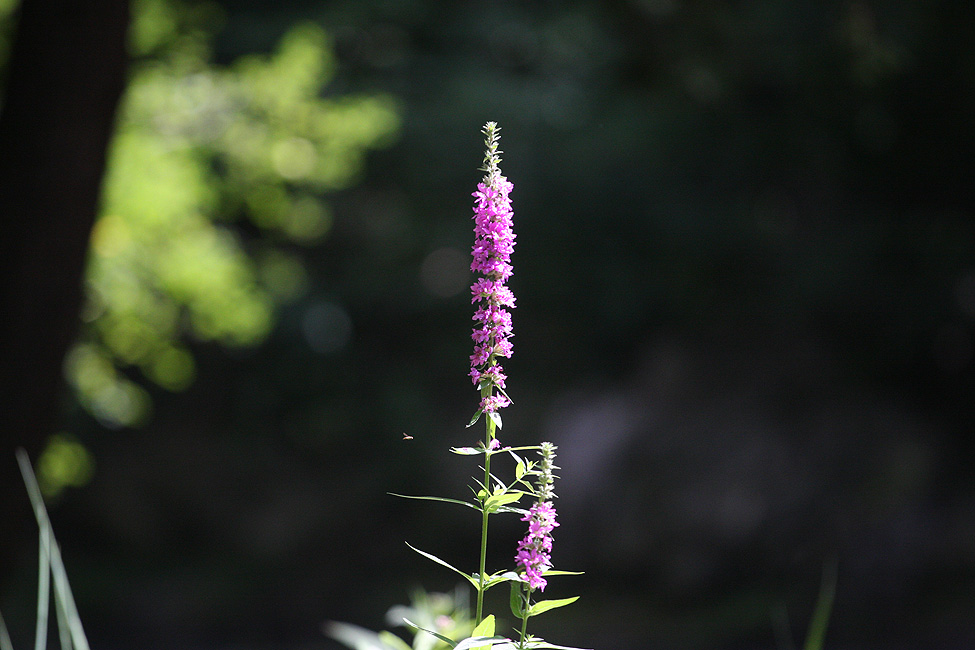L'ÉTEND'ARTà la Poudrière