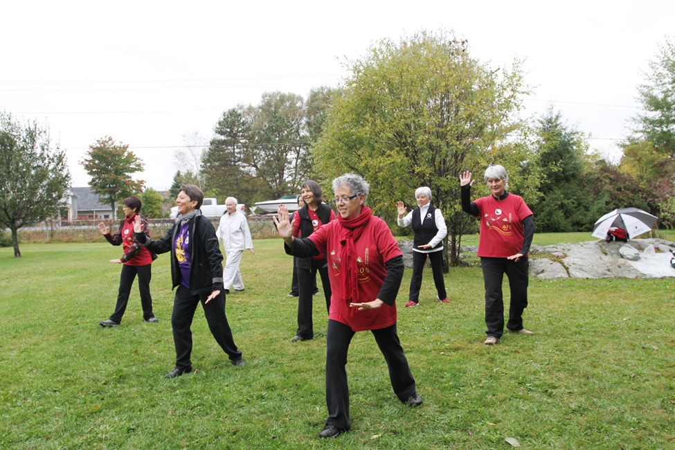 Marchedons Desjardins - Fondation CSSS du VSF