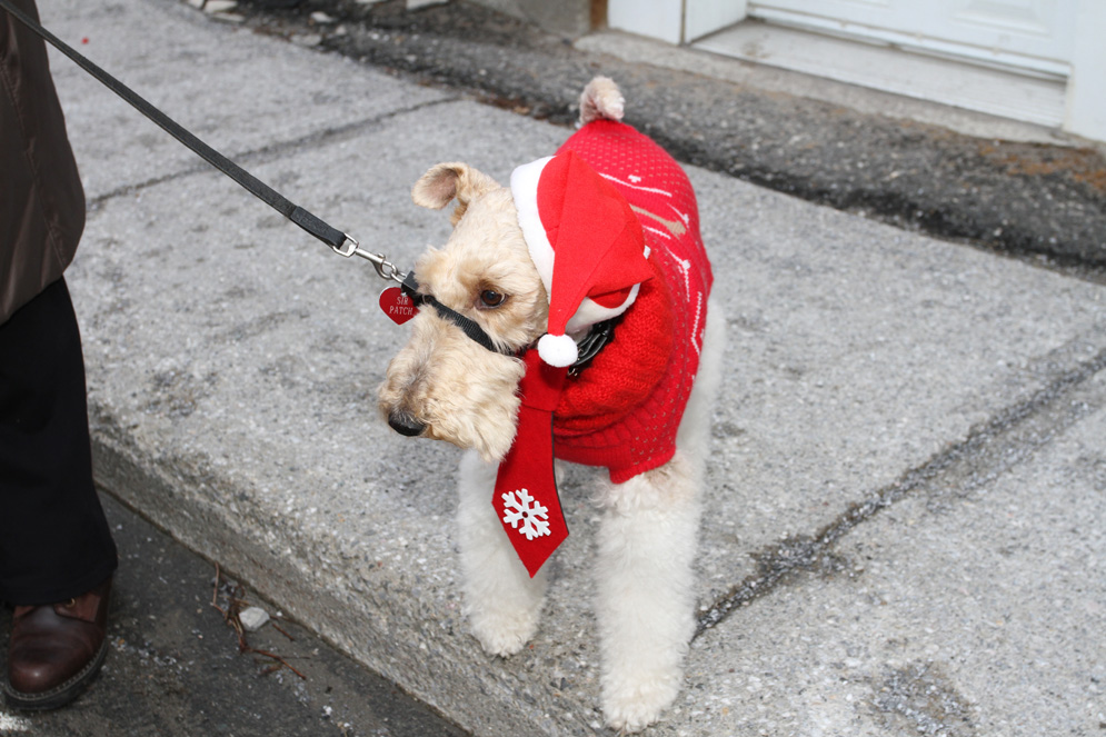 Parade de Noël à Windsor