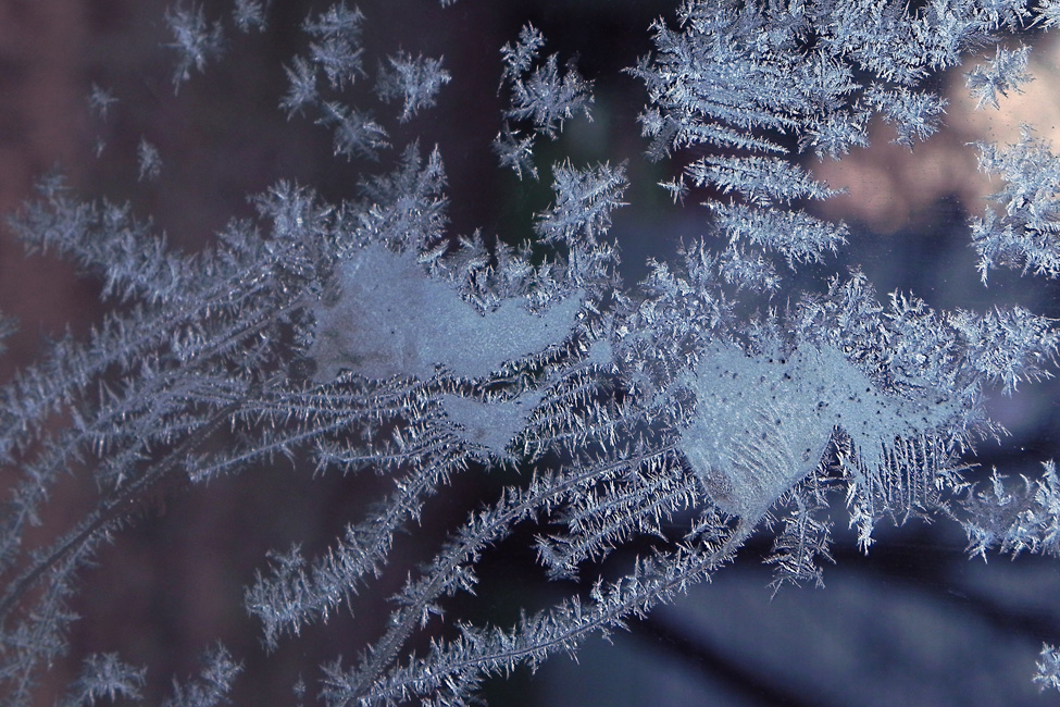 22e expo-photos Galerie Château du Bel-Âge