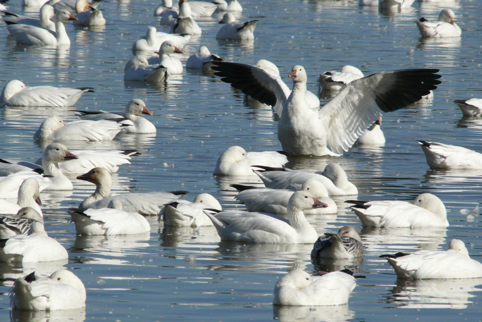 22e expo-photos Galerie Château du Bel-Âge