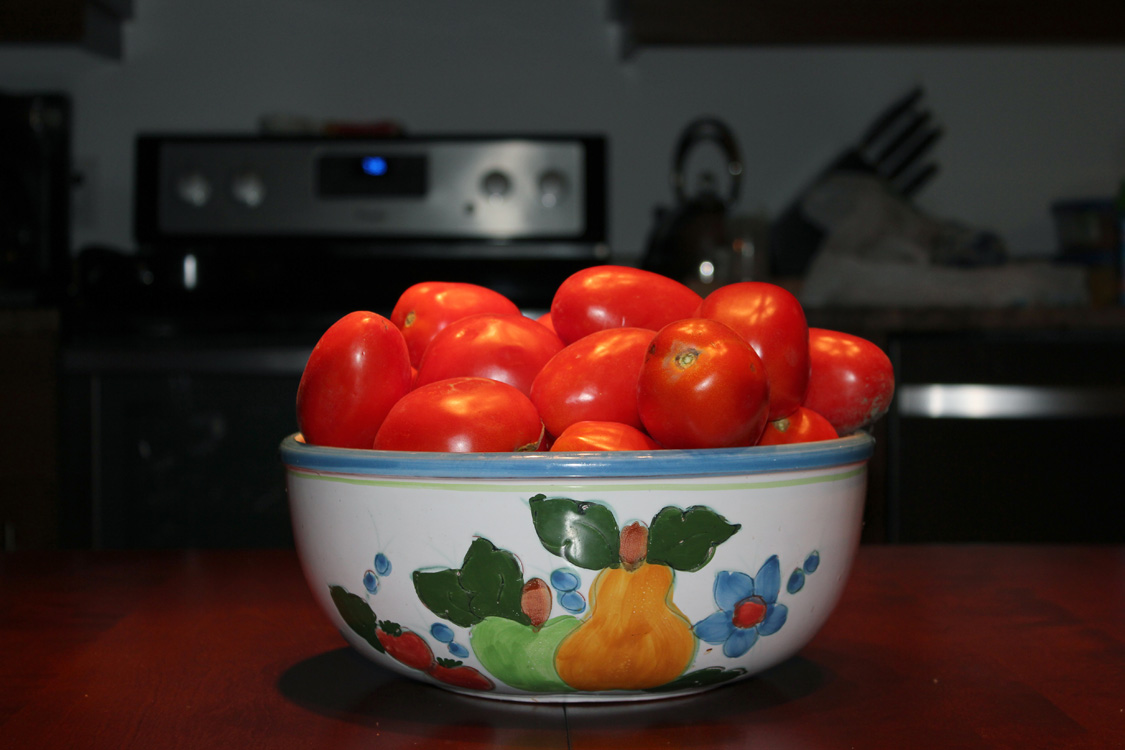 22e expo-photos Galerie Château du Bel-Âge