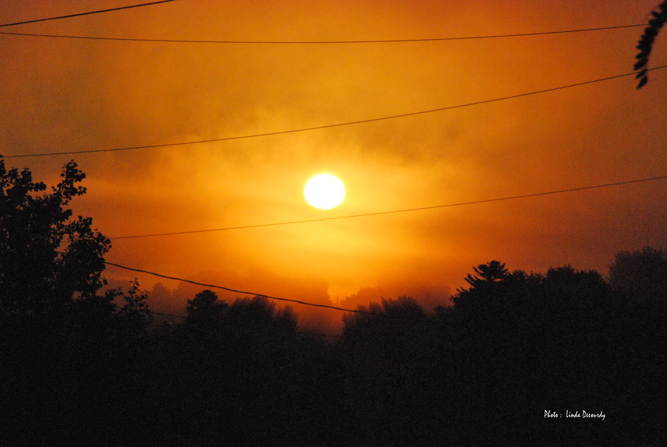 22e expo-photos Galerie Château du Bel-Âge