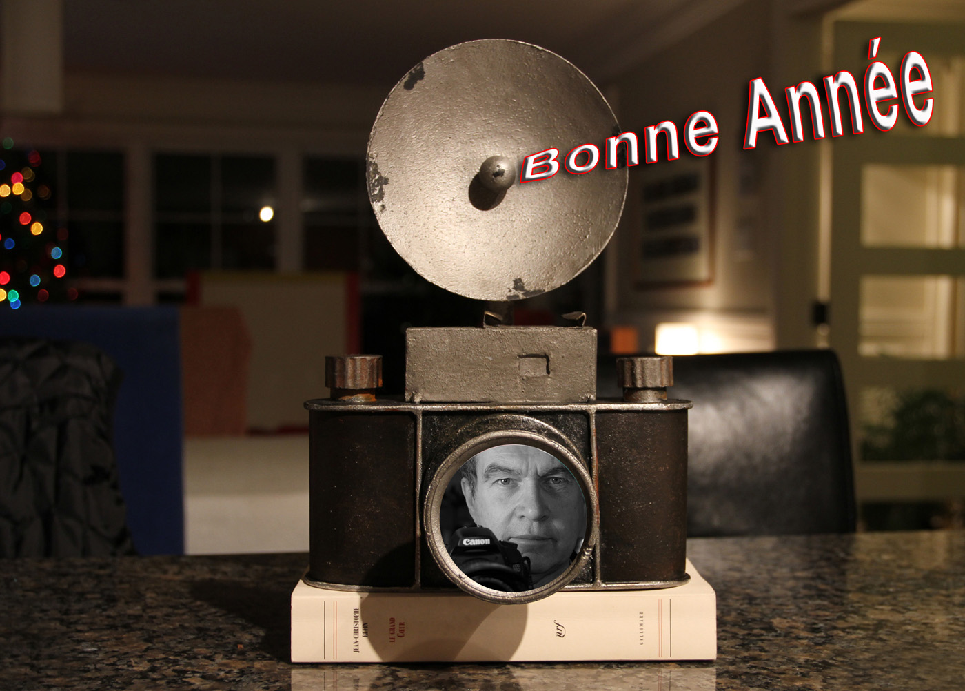 Photos marquantes 2012 - Pierre Pinard