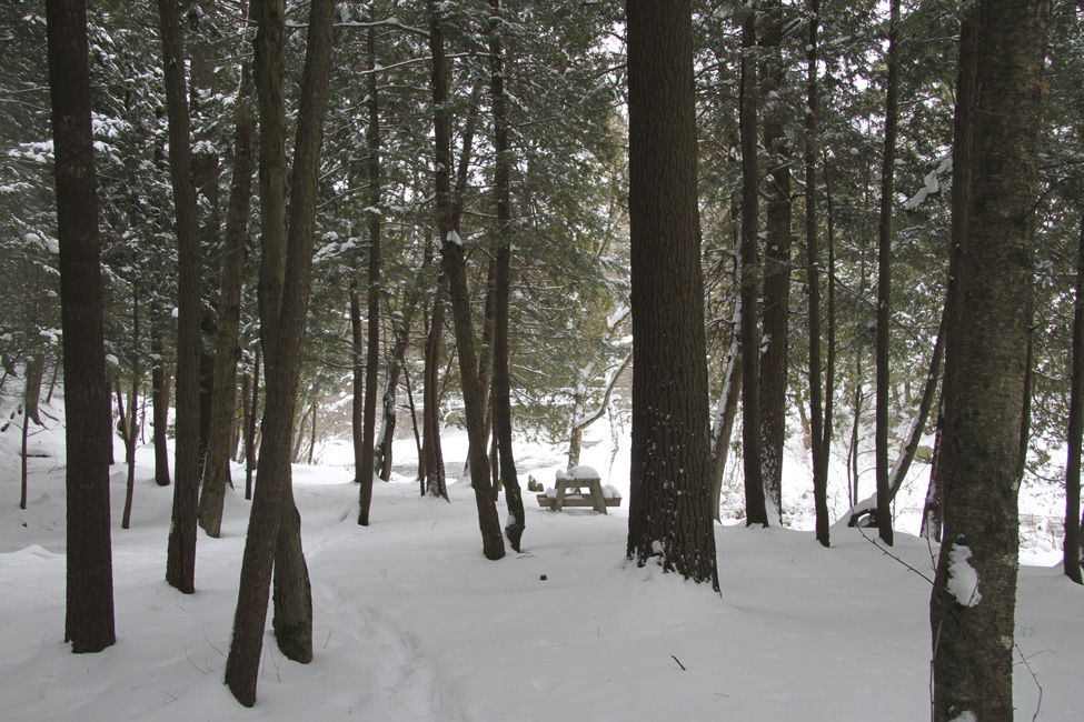 La Poudrière ski-raquette et sentiers