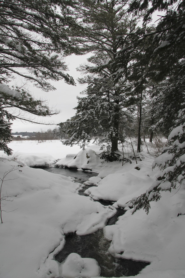 La Poudrière ski-raquette et sentiers