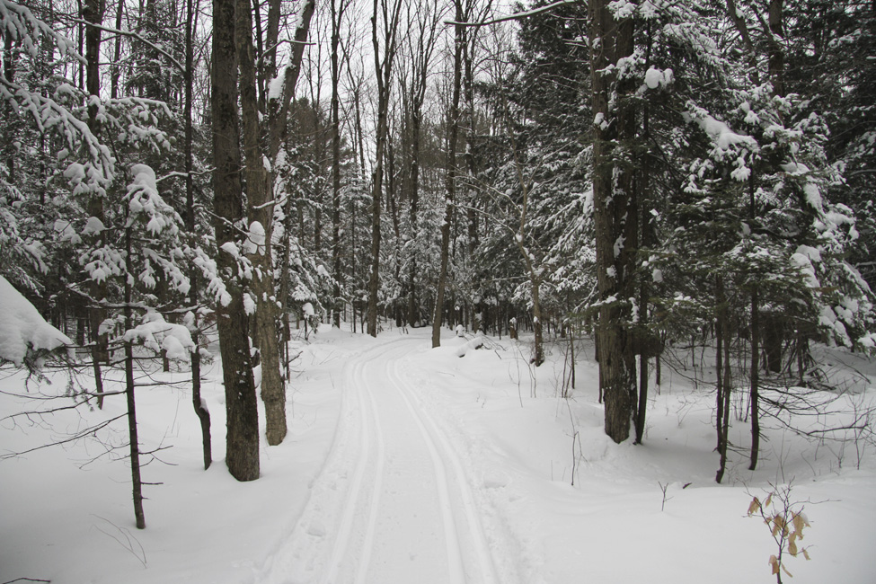 La Poudrière ski-raquette et sentiers