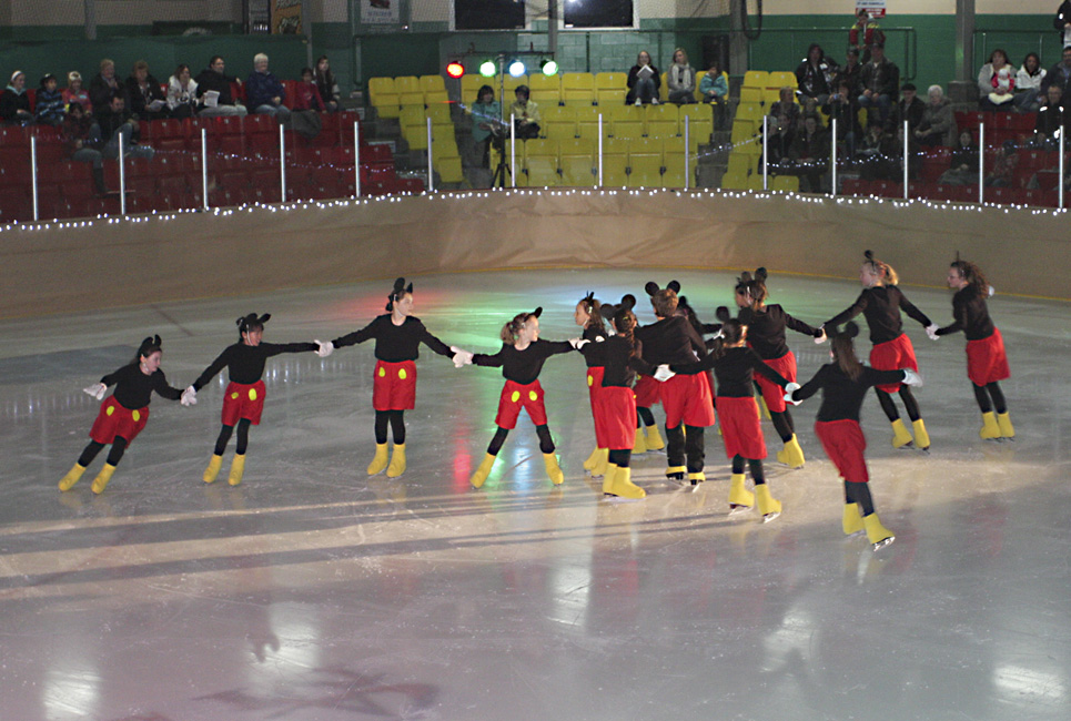 44e spectacle des Patins d'argent