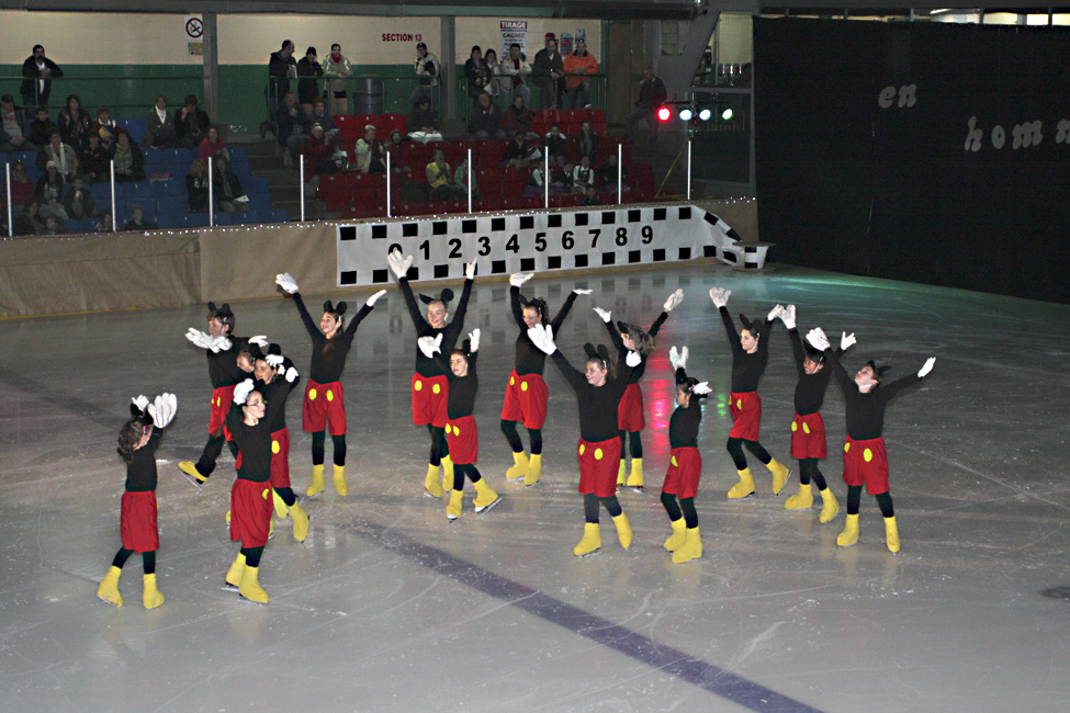 44e spectacle des Patins d'argent