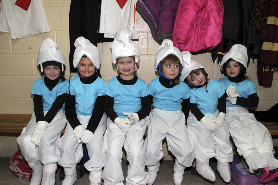 44e spectacle des Patins d'argent