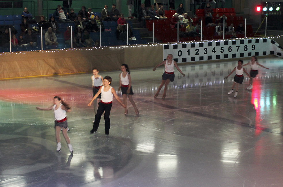 44e spectacle des Patins d'argent