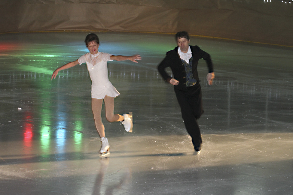 44e spectacle des Patins d'argent