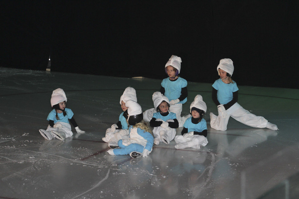 44e spectacle des Patins d'argent